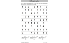 Rekenpuzzels 2 (5 stuks)