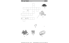 Woordenschat fase 4 (5 stuks)