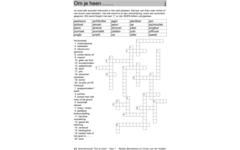 Woordenschat fase 7 (5 stuks)