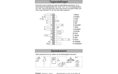 Taalpuzzels 3 groep 5 (5 stuks)