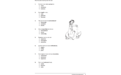 Woordbetekenis (5 stuks)