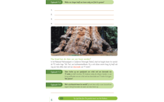 Max en de sprekende boom groep 3-5 werkboek (5 stuks)