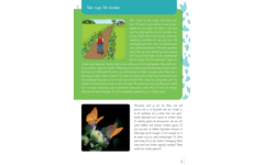 Max en de ongelofelijke reis van de vlinder groep 3-5 werkboek (5 stuks)
