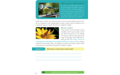 Max en de ongelofelijke reis van de vlinder groep 3-5 werkboek (5 stuks)