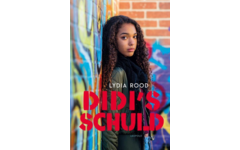 Didi's schuld - Lydia Rood
