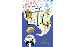 Het toevallige dagboek van B.I.G. (B.I.G. 1) - Jen Carney