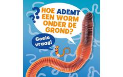 Hoe ademt een worm onder de grond? - Ellen Labrecque