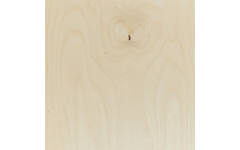 Plateau zandwatertafel 6101211 formaat 852x700 mm