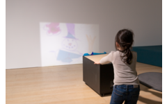 Projector