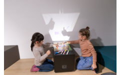 Projector