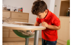 Blad tbv Experimenteertafel beuken