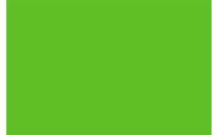 Leidster/voedingsstoel Comfort groen met armleggers
