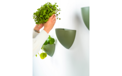 Botaniq 1,25L groen