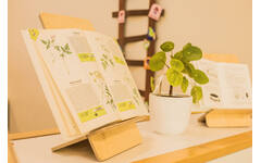 Book Buddy Large