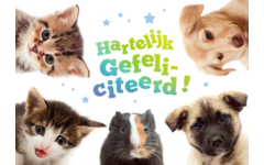Miniposters 1049 dierenvrienden, 2 motieven, 20 stuks