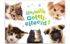 Miniposters 1049 dierenvrienden, 2 motieven, 20 stuks