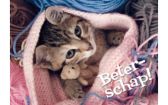 Miniposters 1054 beterschap, 2 motieven, 20 stuks