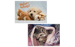 Miniposters 1054 beterschap, 2 motieven, 20 stuks