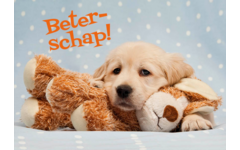 Miniposters 1054 beterschap, 2 motieven, 20 stuks
