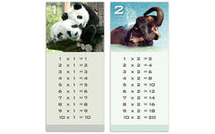 Tafelkaartjes Werelddieren 3022 12 motieven, 120 stuks