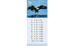 Tafelkaartjes Werelddieren 3022 12 motieven, 120 stuks