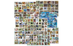 Beloningsstickers mixserie 319001 dieren, 35 motieven, 700 stuks