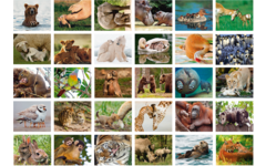 Beloningsstickers Dieren met jong 386, 30 motieven, 600 stuks