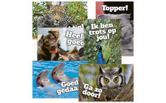 Beloningskaarten Motivatiedieren 4567, 6 motieven, 96 stuks