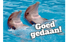 Beloningskaarten Motivatiedieren 4567, 6 motieven, 96 stuks