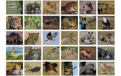 Beloningsstickers 118 Zuid Afrika 30 motieven, 600 stickers
