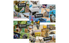 Ansichtkaarten 5753 Dieren in kaders, 4 motieven, 48 stuks