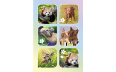 Beloningskaarten 4598 Lieve Lentediertjes,6 motieven, 96 stuks