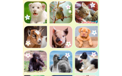Beloningsstickers 462 Lieve Lentediertjes, 35 motieven, 700 stuks
