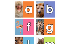 Beloningsstickers 467 Het Dieren ABC, 30 motieven, 600 stuks