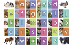 Beloningsstickers 467 Het Dieren ABC, 30 motieven, 600 stuks