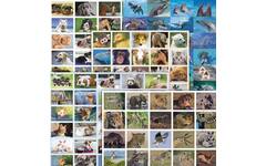 Beloningsstickers snelbestelpakket Dieren 8001, 180-200 mot. 4000 st.