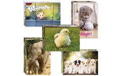 Beloningskaarten snelbestelpakket Dieren 8301, 20 mot. 480 st.