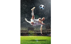 Beloningskaarten Voetbal 4251 4 motieven, 96 stuks