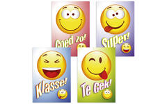 Beloningskaarten Smileys met teksten 4480, 4 motieven, 96 stuks