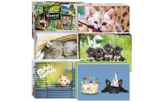 Miniposters snelbestelpakket Dieren 8101,12 mot. 120 st.