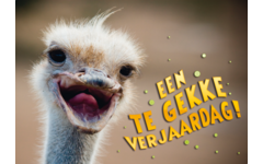 Miniposters Grappige Dieren 991 4 motieven, 20 stuks