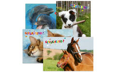 Miniposters Dieren gefelciteerd 994 4 motieven, 20 stuks