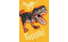 Beloningskaarten Dino's 4552 4 motieven, 96 stuks
