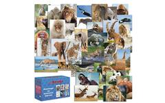 Beloningskaartpakket werelddieren 4600, 36 motieven, 72 st
