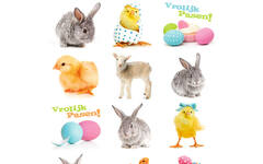 Beloningsstickers Paasdieren 381 40 motieven, 800 stuks