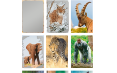 Krasstickers Werelddieren 646 36 motieven, 540 stuks