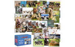 Beloningskaarten Dieren mix 4701 36 motieven, 72 stuks