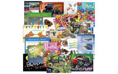 Miniposters Felicitatieteksten Mix 1106, 18 motieven, 18 stuks