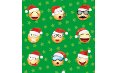 Beloningsstickers 497 Kerst smileys 48 motieven, 960 stickers