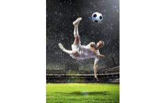 Miniposter 912 Voetbal 4 motieven, 20 stuks